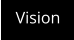 Vision