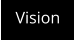 Vision